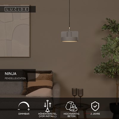 Lucide NINJA - Pendelleuchten - Ø 20 cm - 1xE27 - Grau